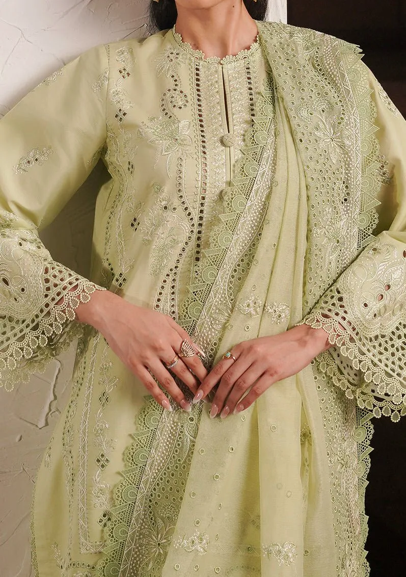 Afrozeh Kelly Pakistani Luxury Chikankari Lawn