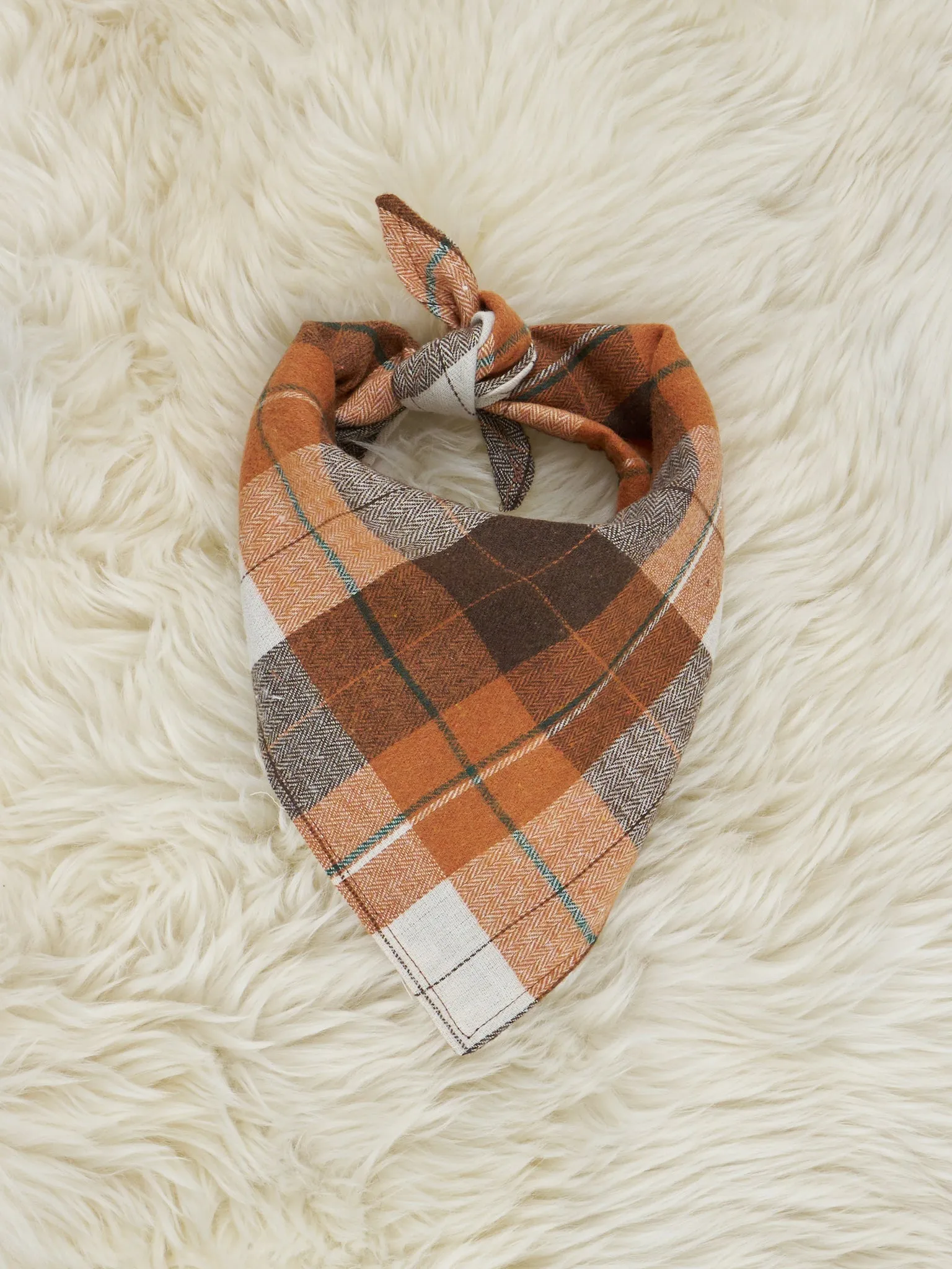 Autumn Plaid Bandana