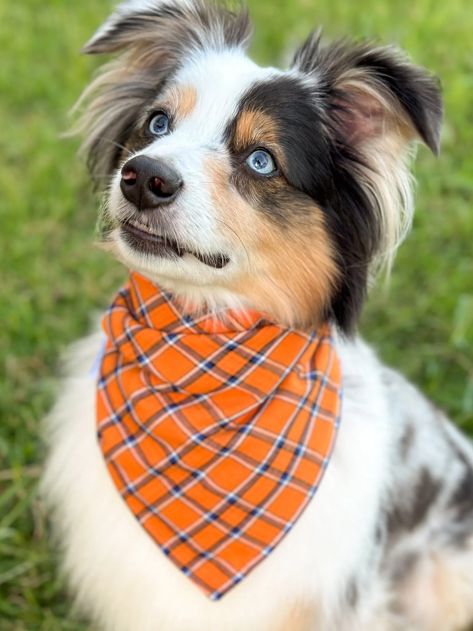 Autumn Plaid Bandana