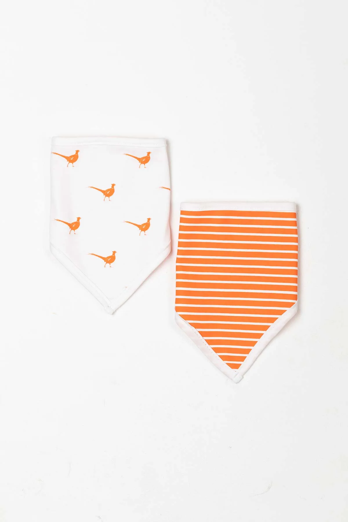 Baby Bibs (2 Pack)