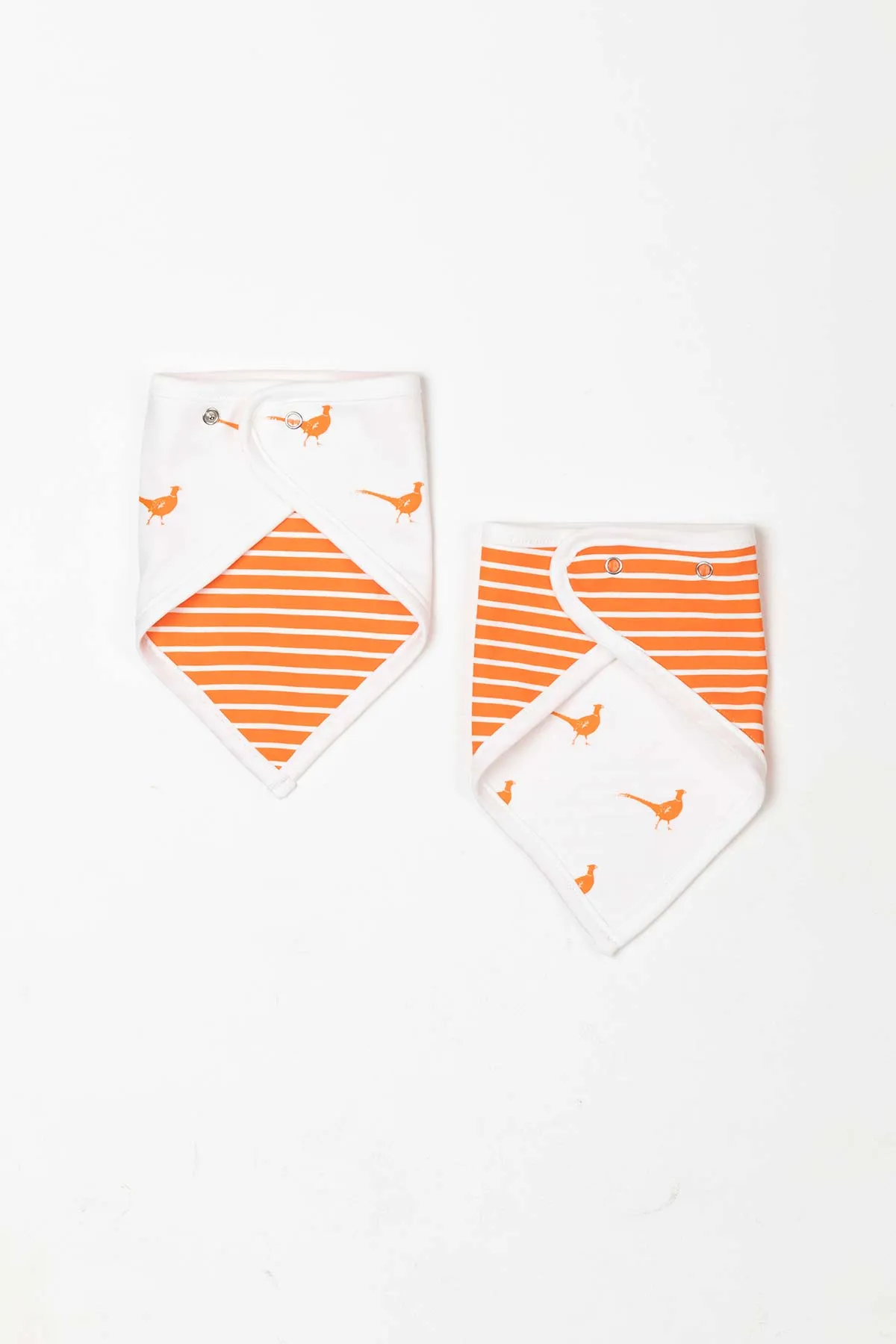 Baby Bibs (2 Pack)