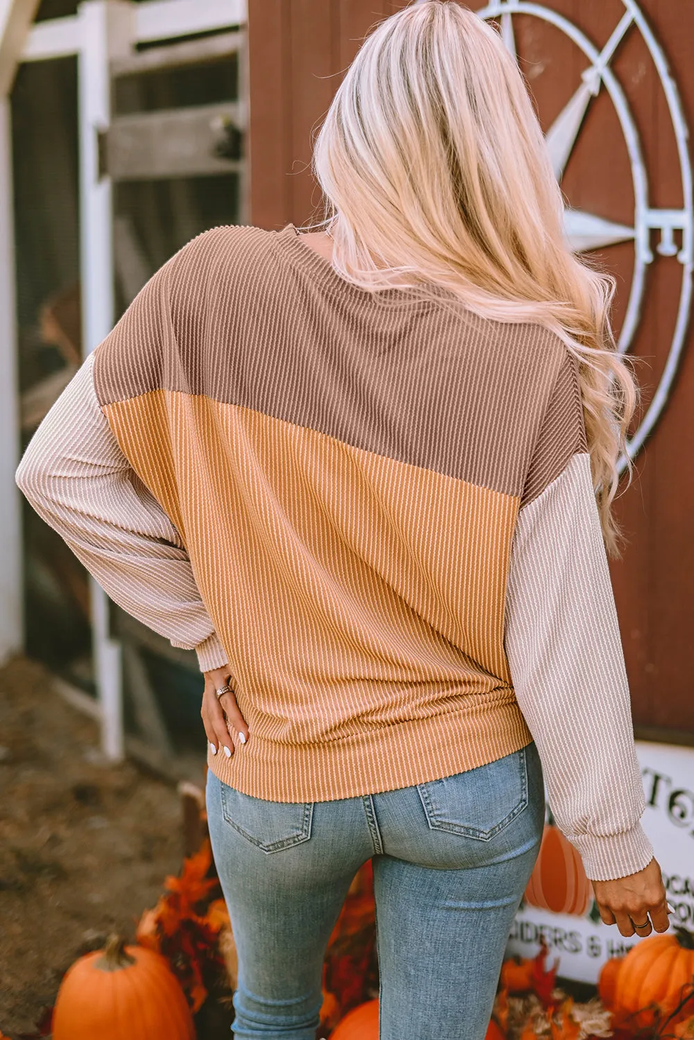 Color Block Ribbed Loose Top