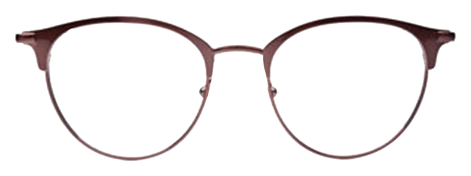 E. Zegna Men's Bronze Metal Round Eyeglasses EZ 5141/036